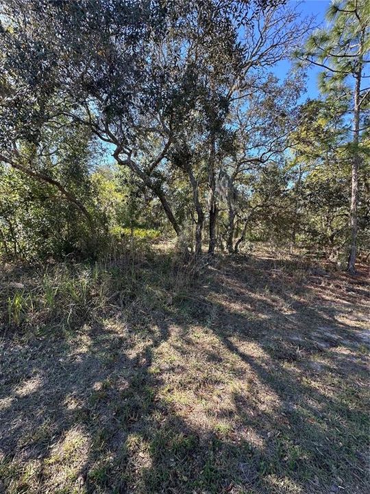 На продажу: $46,000 (0.33 acres)