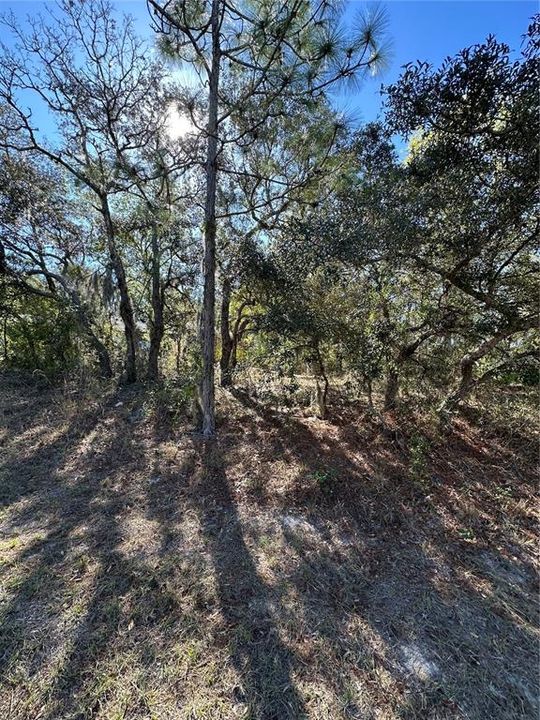 На продажу: $46,000 (0.33 acres)