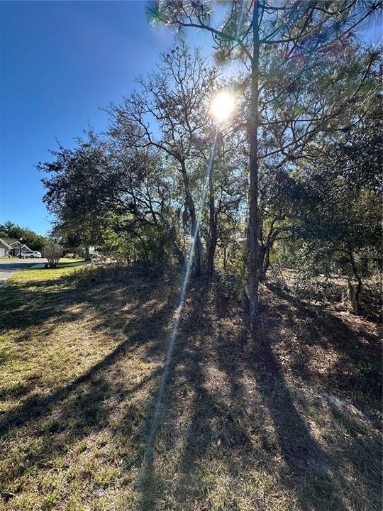 На продажу: $46,000 (0.33 acres)