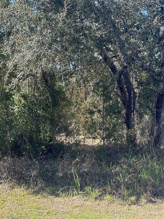 На продажу: $46,000 (0.33 acres)