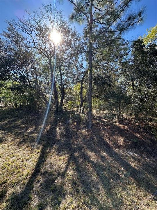 На продажу: $46,000 (0.33 acres)