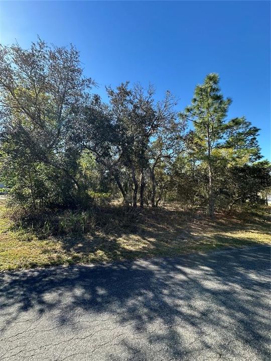 На продажу: $46,000 (0.33 acres)