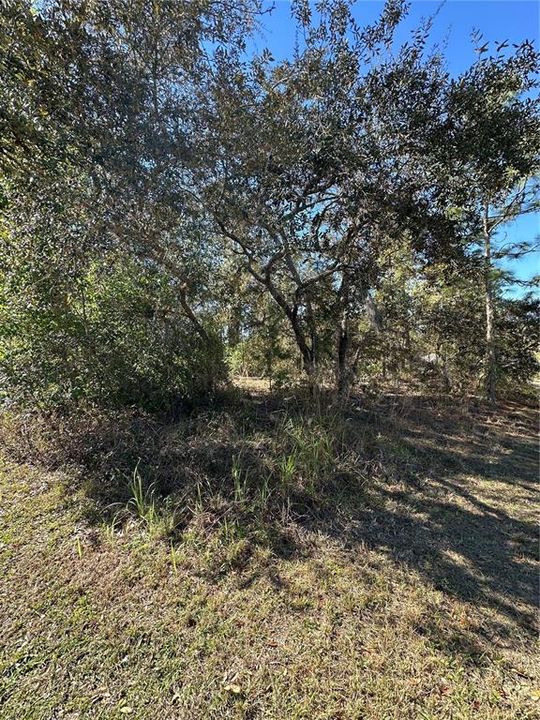 На продажу: $46,000 (0.33 acres)