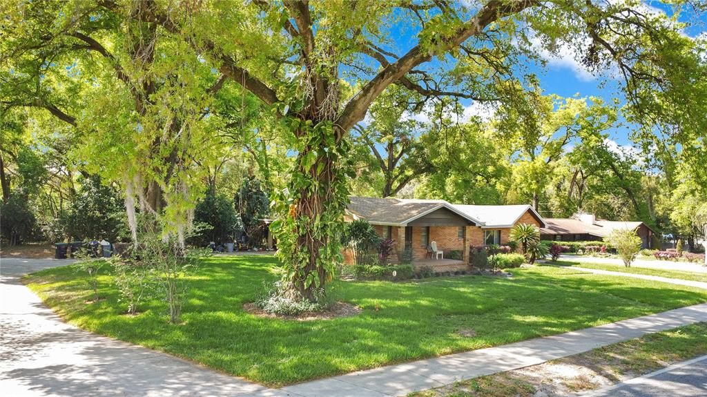 For Sale: $515,000 (4 beds, 2 baths, 1736 Square Feet)