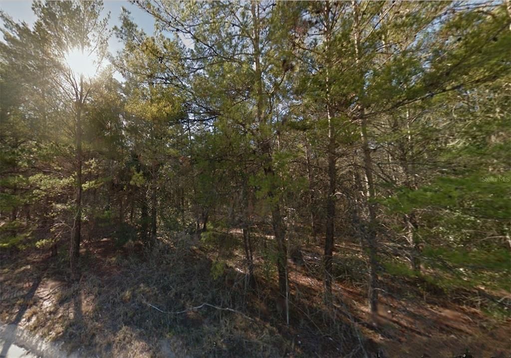 For Sale: $24,900 (0.89 acres)
