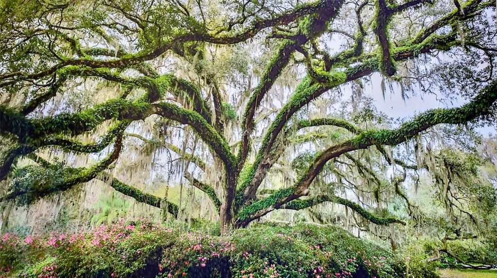 待售: $4,700,000 (0 贝兹, 0 浴室, 25834 平方英尺)