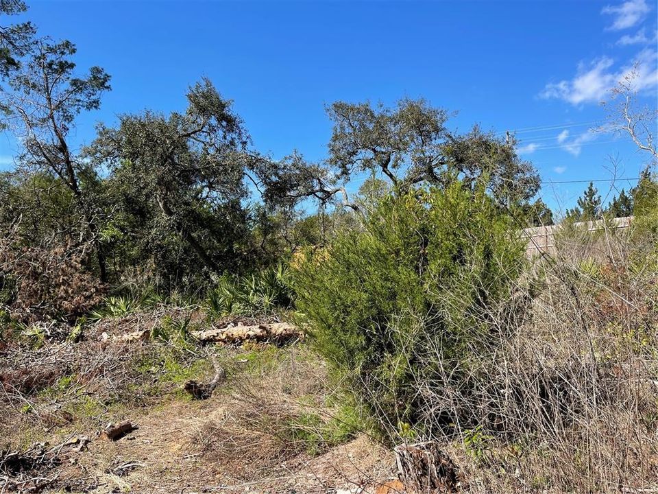 En Venta: $70,000 (0.17 acres)