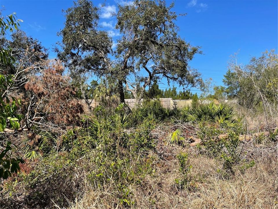 En Venta: $70,000 (0.17 acres)