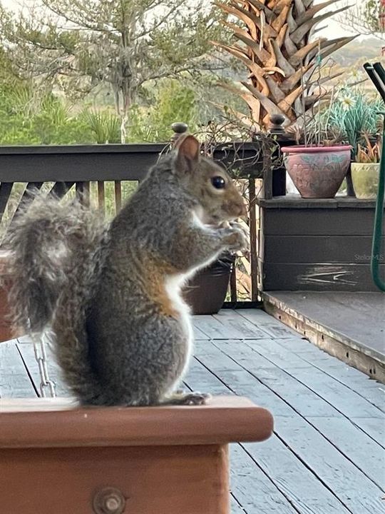 For Sale: $527,000 (4 beds, 3 baths, 3293 Square Feet)