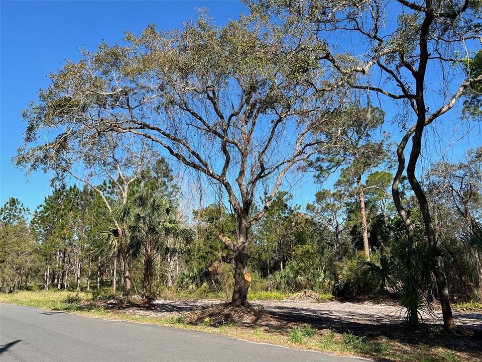 最近售出: $30,000 (0.39 acres)