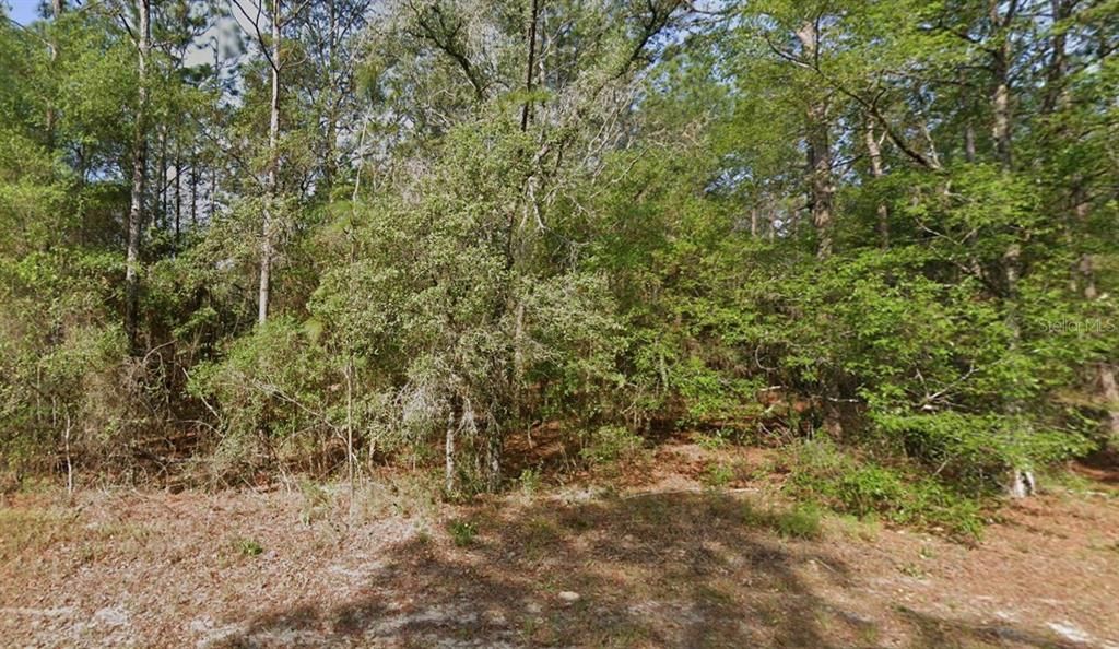 Vendido Recientemente: $25,000 (0.23 acres)