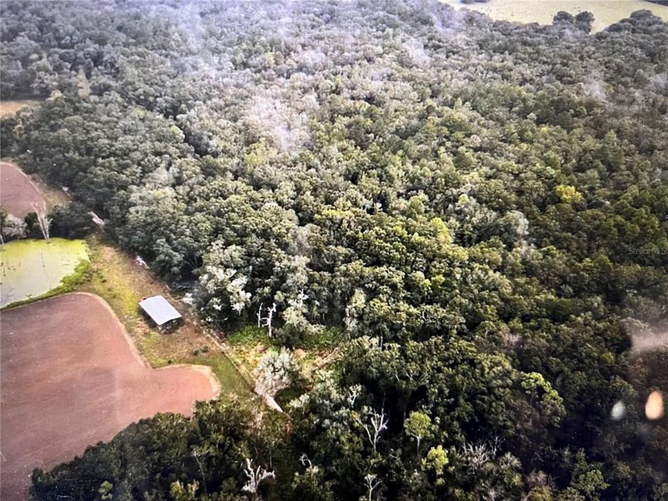 Недавно продано: $270,000 (80.00 acres)