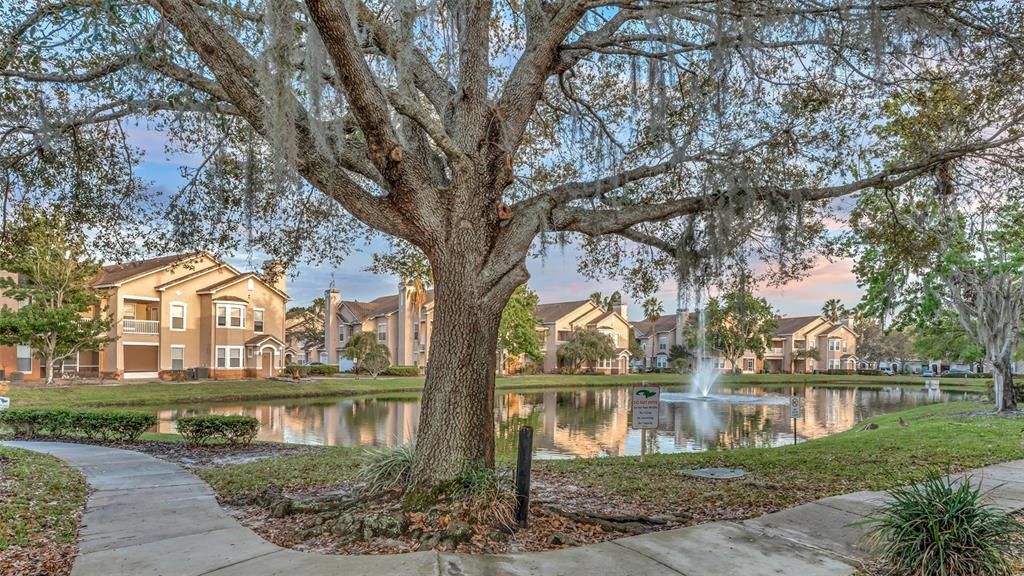 En Renta: $1,375 (1 camas, 1 baños, 951 Pies cuadrados)