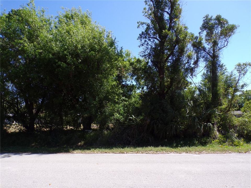 待售: $19,500 (0.20 acres)