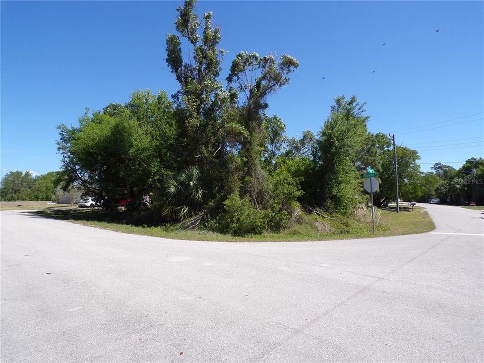 待售: $19,500 (0.20 acres)