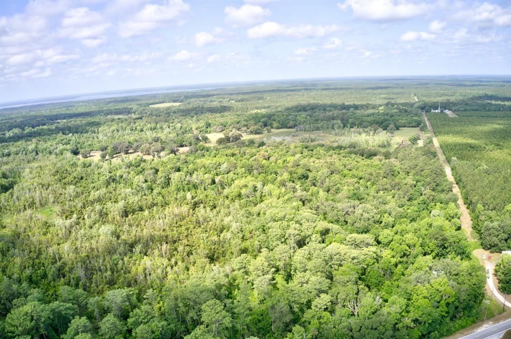 For Sale: $340,000 (28.31 acres)