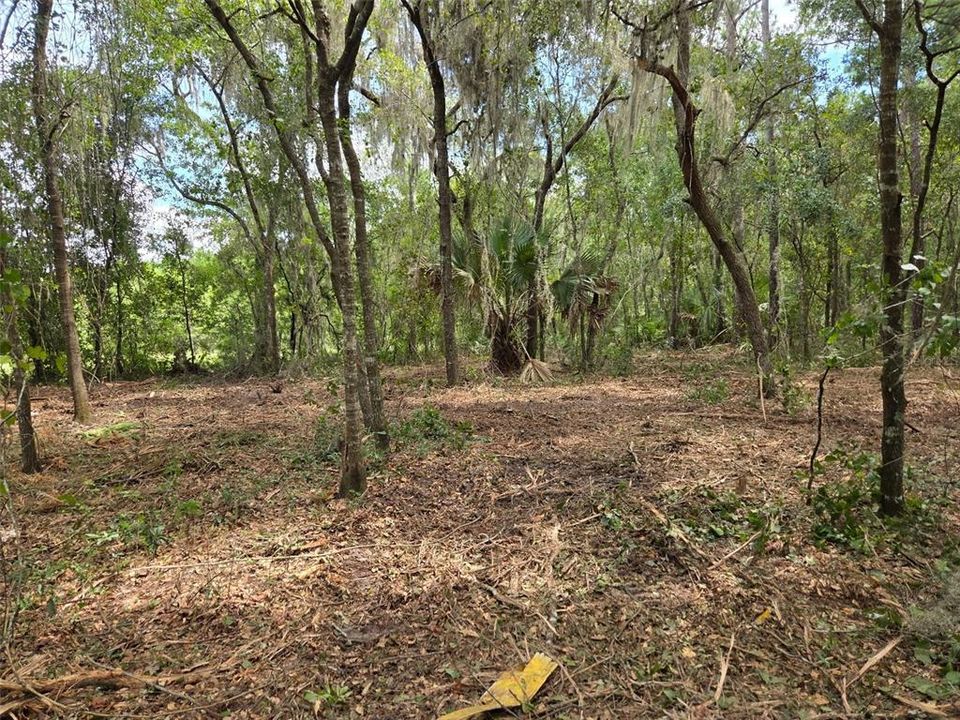 For Sale: $340,000 (28.31 acres)