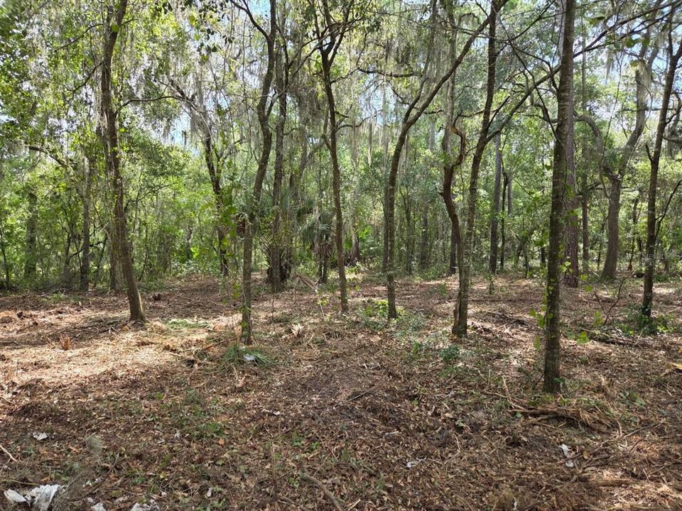 For Sale: $340,000 (28.31 acres)