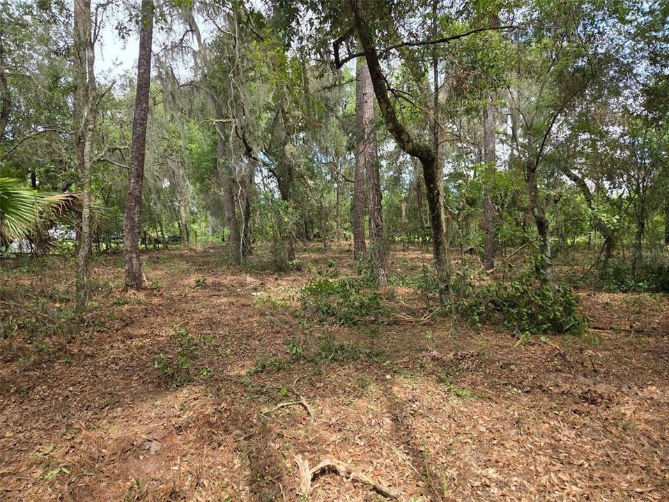 For Sale: $340,000 (28.31 acres)