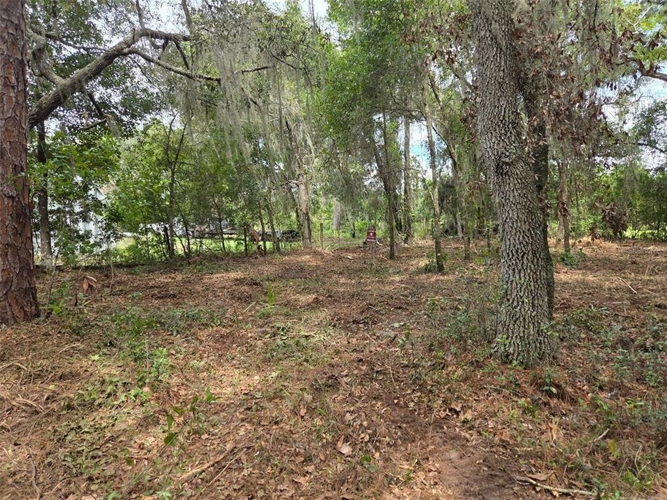 For Sale: $340,000 (28.31 acres)