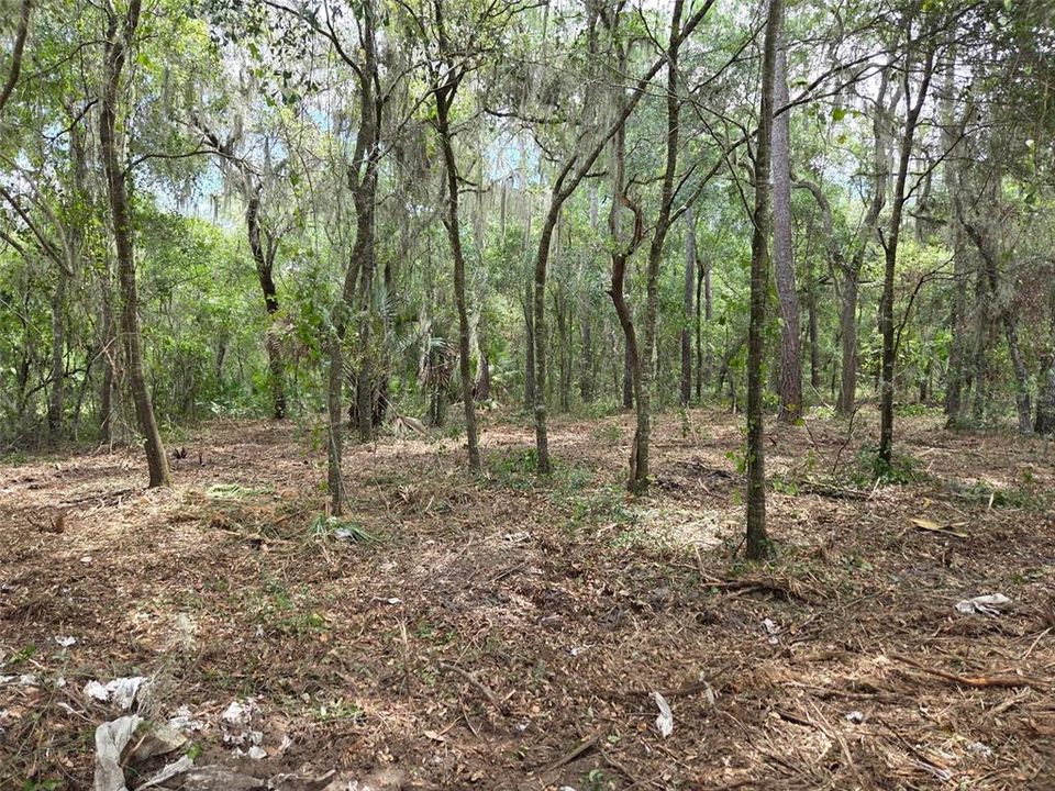 For Sale: $340,000 (28.31 acres)