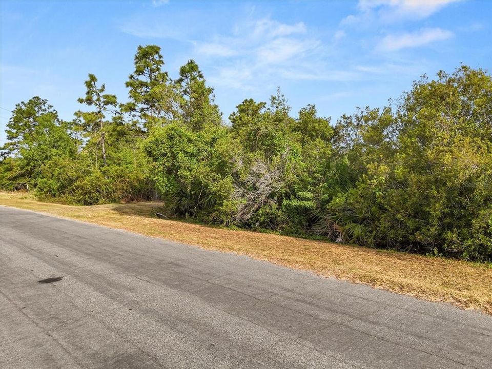 For Sale: $250,000 (2.60 acres)