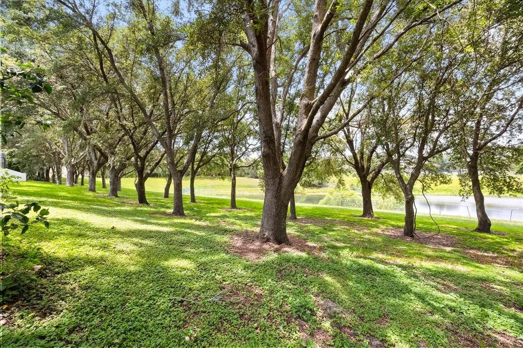 En Venta: $509,000 (5 camas, 3 baños, 2619 Pies cuadrados)