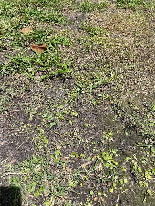 待售: $337,400 (9.70 acres)