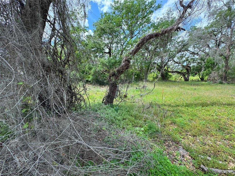 For Sale: $20,000 (0.15 acres)