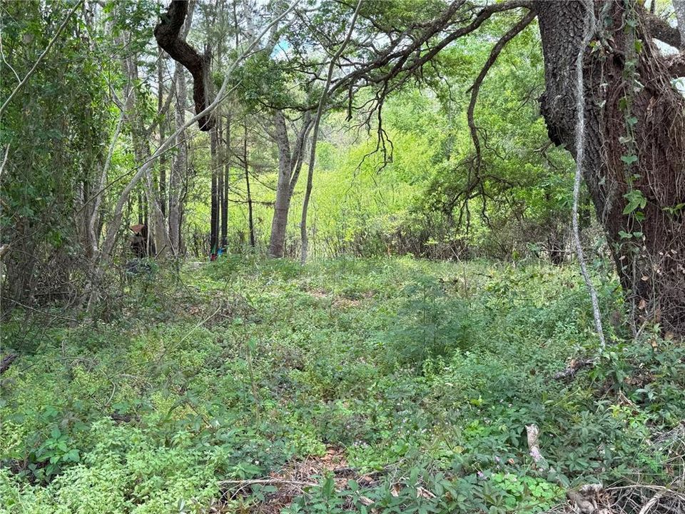 For Sale: $20,000 (0.15 acres)