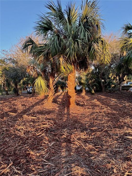 For Sale: $799,000 (0.33 acres)