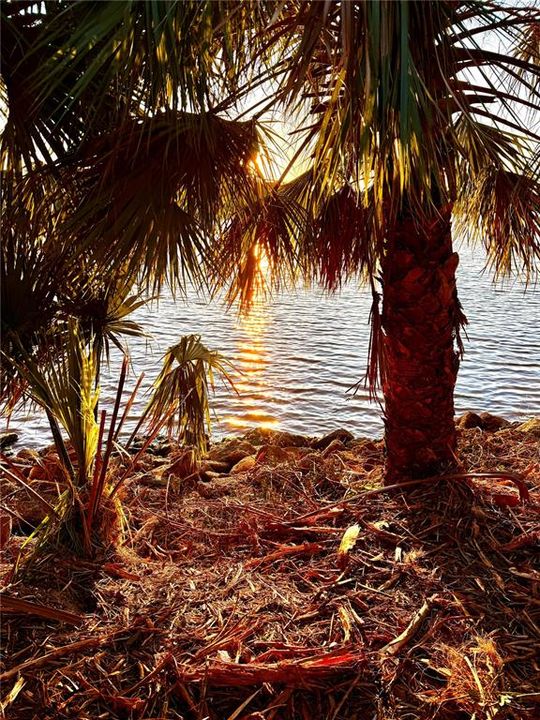 For Sale: $799,000 (0.33 acres)