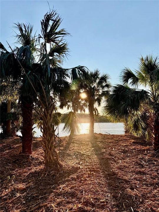 For Sale: $799,000 (0.33 acres)