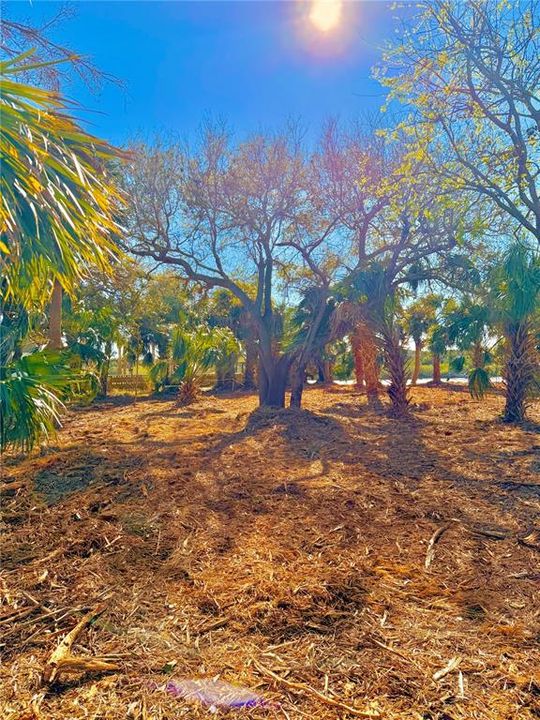 For Sale: $799,000 (0.33 acres)