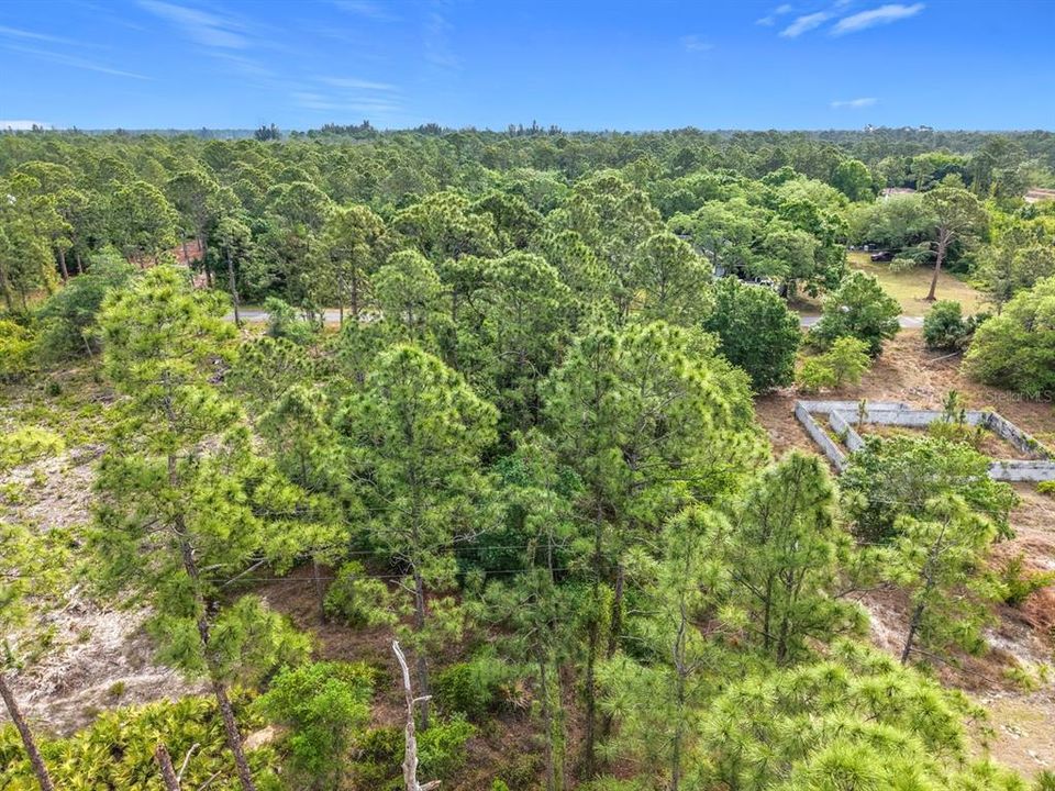 For Sale: $22,000 (0.50 acres)