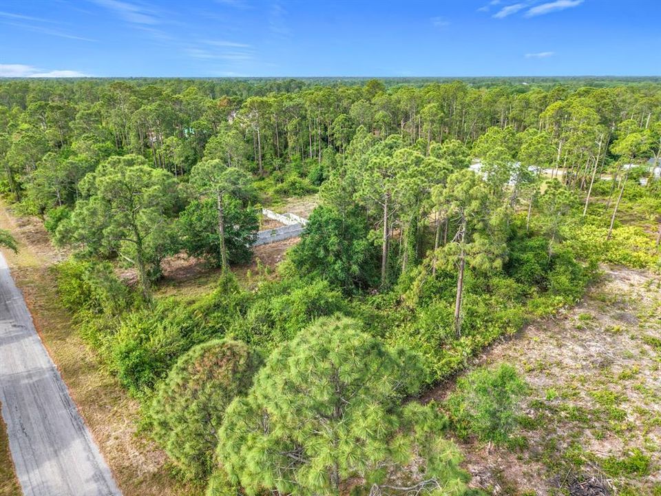 For Sale: $22,000 (0.50 acres)