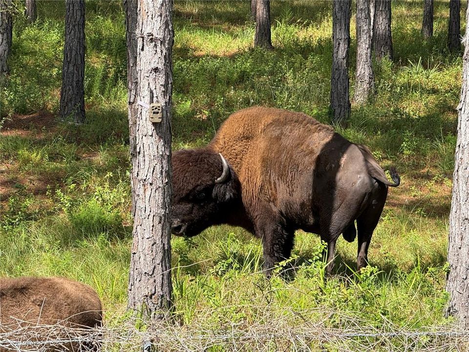 На продажу: $163,000 (2 спален, 2 ванн, 800 Квадратных фут)