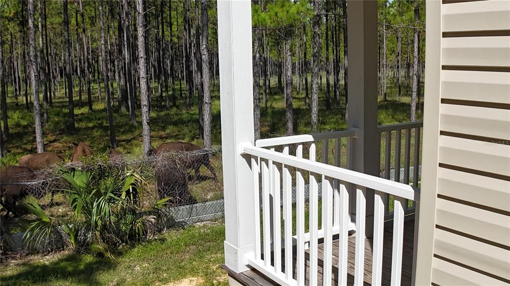 На продажу: $163,000 (2 спален, 2 ванн, 800 Квадратных фут)