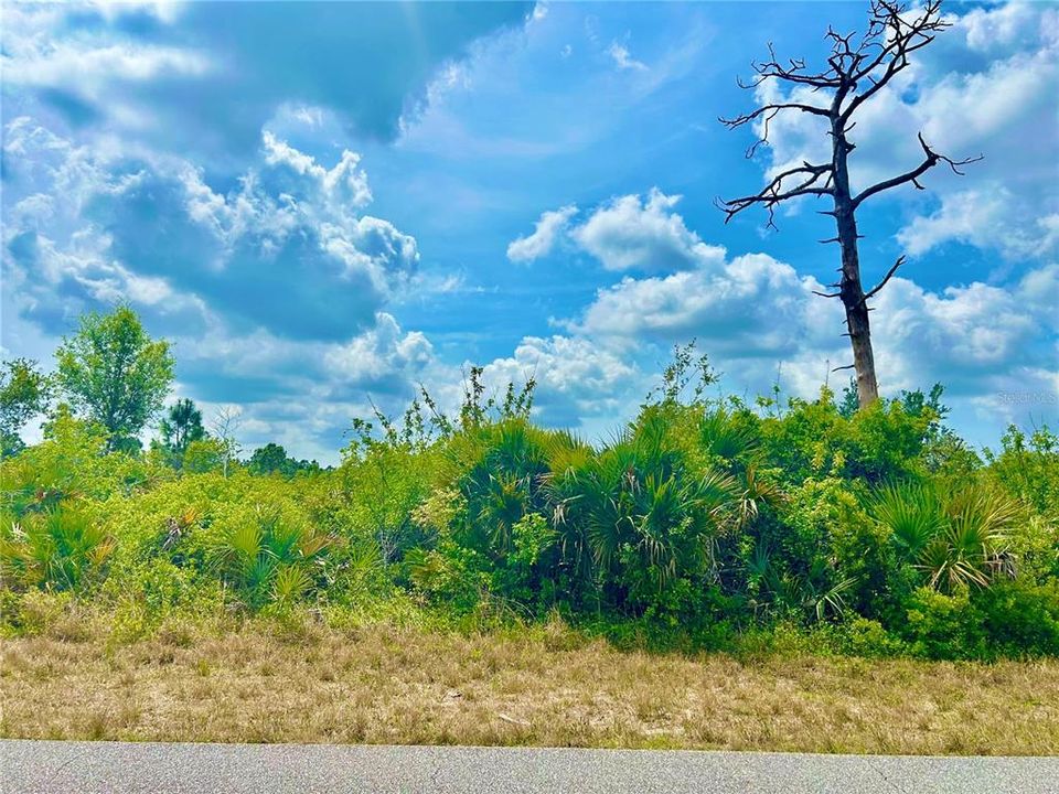 For Sale: $38,500 (0.46 acres)