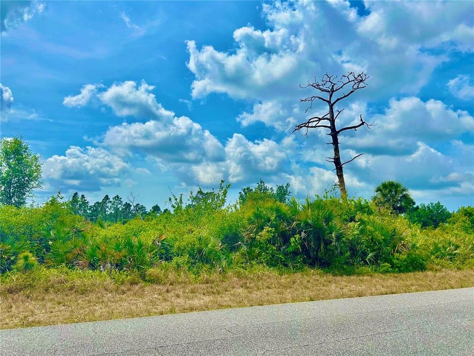 For Sale: $38,500 (0.46 acres)