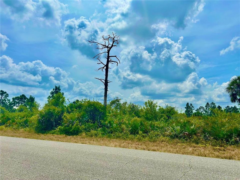 For Sale: $38,500 (0.46 acres)