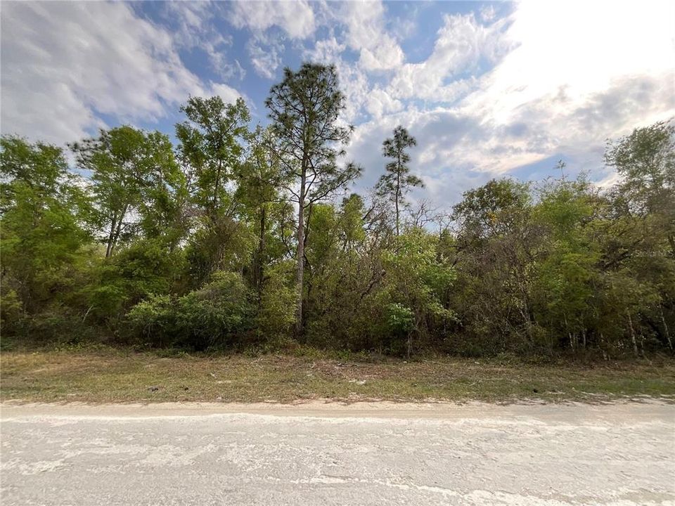 最近售出: $38,000 (0.98 acres)