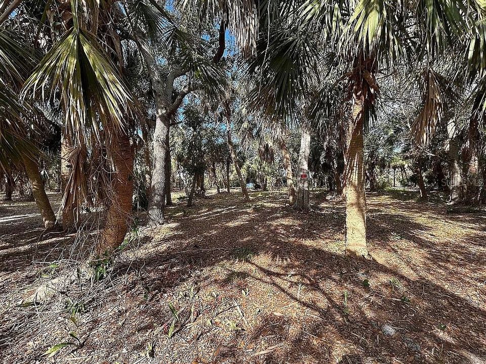 Active With Contract: $1,500,000 (1.08 acres)