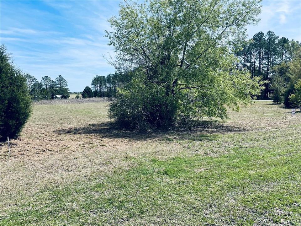 Recently Sold: $50,000 (1.03 acres)