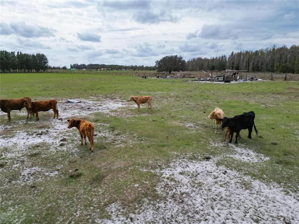 For Sale: $650,000 (3 beds, 2 baths, 1677 Square Feet)