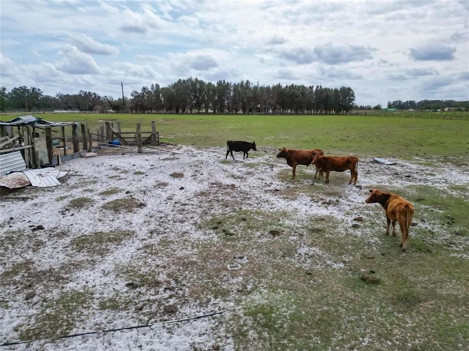 For Sale: $650,000 (3 beds, 2 baths, 1677 Square Feet)