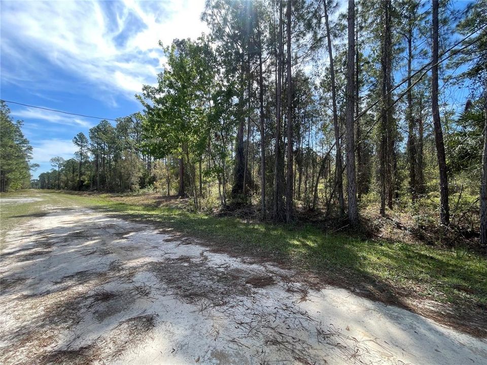 For Sale: $20,000 (0.23 acres)