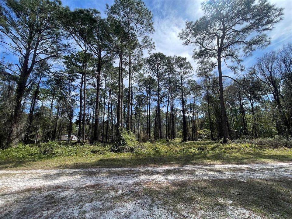 For Sale: $20,000 (0.23 acres)