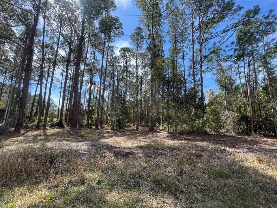 For Sale: $20,000 (0.23 acres)