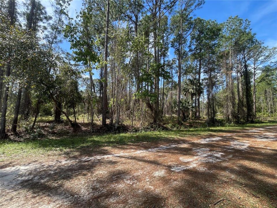 For Sale: $20,000 (0.24 acres)